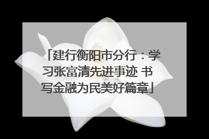 建行衡阳市分行：学习张富清先进事迹 书写金融为民美好篇章
