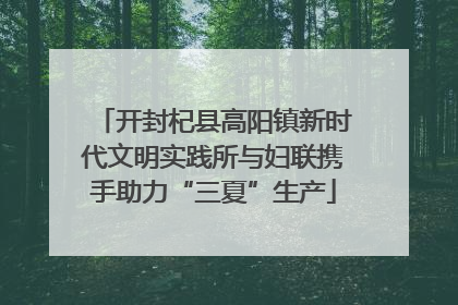 开封杞县高阳镇新时代文明实践所与妇联携手助力“三夏”生产