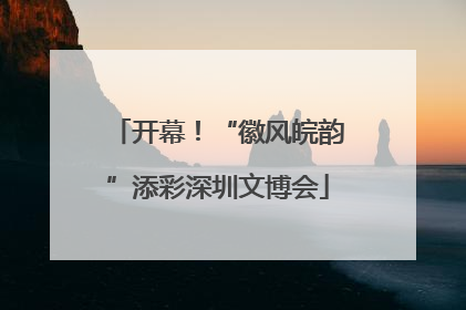 开幕！“徽风皖韵”添彩深圳文博会