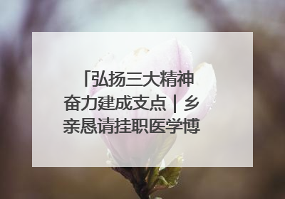 弘扬三大精神 奋力建成支点｜乡亲恳请挂职医学博士再留一年
