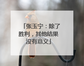 张玉宁：除了胜利，其他结果没有意义
