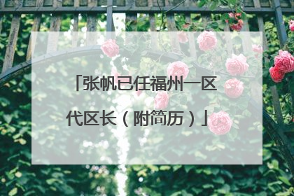 张帆已任福州一区代区长（附简历）