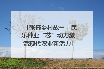 张掖乡村故事｜民乐种业“芯”动力激活现代农业新活力