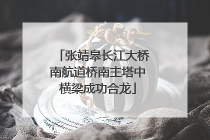张靖皋长江大桥南航道桥南主塔中横梁成功合龙