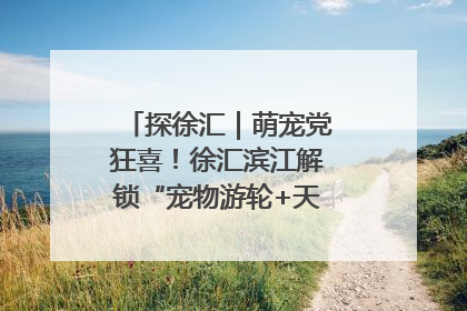 探徐汇｜萌宠党狂喜！徐汇滨江解锁“宠物游轮+天台乐园”双玩法