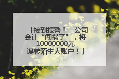 接到报警！一公司会计“闯祸了”，将10000000元误转陌生人账户！