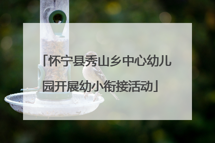 怀宁县秀山乡中心幼儿园开展幼小衔接活动