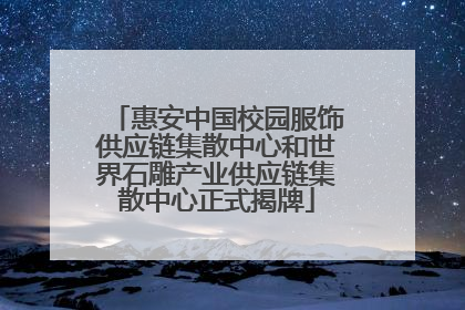 惠安中国校园服饰供应链集散中心和世界石雕产业供应链集散中心正式揭牌