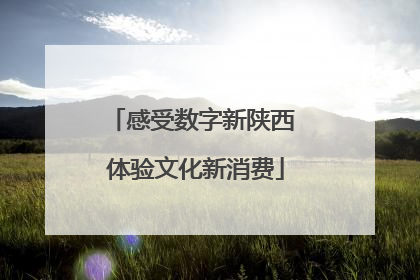 感受数字新陕西 体验文化新消费