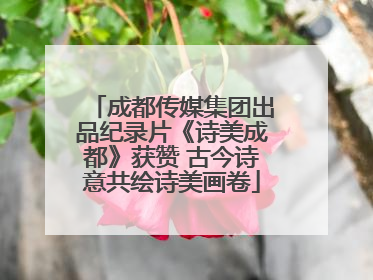 成都传媒集团出品纪录片《诗美成都》获赞 古今诗意共绘诗美画卷