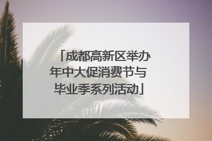 成都高新区举办年中大促消费节与毕业季系列活动