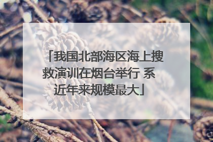 我国北部海区海上搜救演训在烟台举行 系近年来规模最大