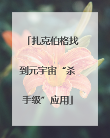 扎克伯格找到元宇宙“杀手级”应用