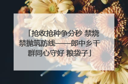 抢收抢种争分秒 禁烧禁抛筑防线——郎中乡干群同心守好 粮袋子
