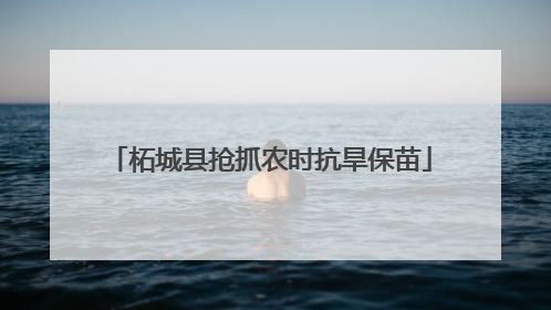 柘城县抢抓农时抗旱保苗