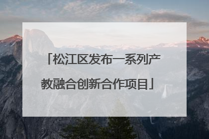 松江区发布一系列产教融合创新合作项目
