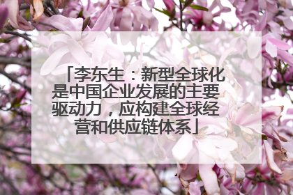 李东生：新型全球化是中国企业发展的主要驱动力，应构建全球经营和供应链体系