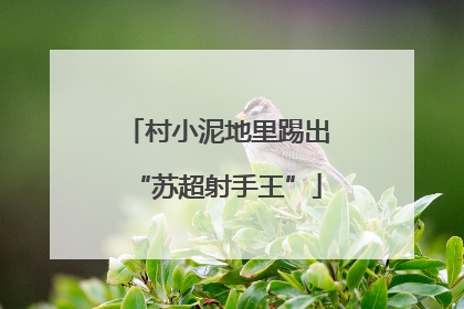 村小泥地里踢出“苏超射手王”