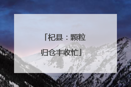 杞县：颗粒归仓丰收忙