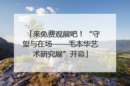 来免费观展吧！“守望与在场——毛本华艺术研究展”开幕