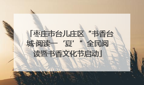 枣庄市台儿庄区“书香台城·阅读一‘夏’”全民阅读暨书香文化节启动