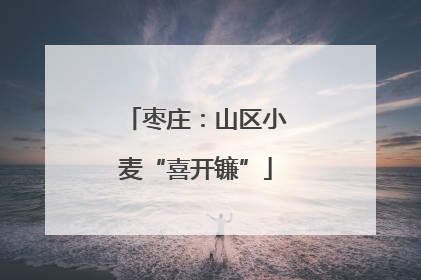 枣庄：山区小麦“喜开镰”