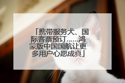 携带服务犬、国际客票预订……鸿蒙版中国国航让更多用户心愿成真