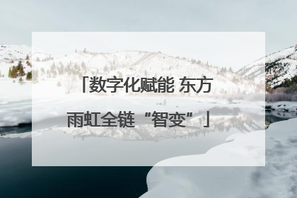 数字化赋能 东方雨虹全链“智变”