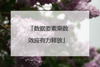 数据要素乘数效应有力释放