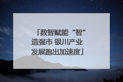 数智赋能“智”造强市 银川产业发展跑出加速度