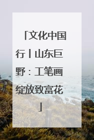 文化中国行丨山东巨野：工笔画绽放致富花