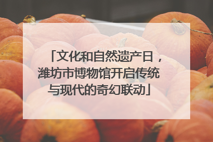 文化和自然遗产日，潍坊市博物馆开启传统与现代的奇幻联动