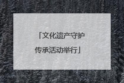文化遗产守护传承活动举行