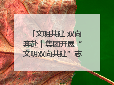 文明共建 双向奔赴｜集团开展“文明双向共建”志愿服务活动