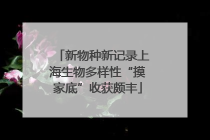 新物种新记录上海生物多样性“摸家底”收获颇丰