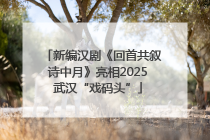 新编汉剧《回首共叙诗中月》亮相2025武汉“戏码头”