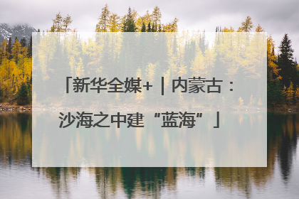 新华全媒+｜内蒙古：沙海之中建“蓝海”