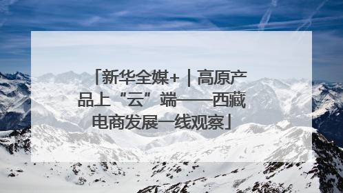 新华全媒+｜高原产品上“云”端——西藏电商发展一线观察