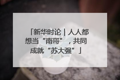 新华时论｜人人都想当“南哥”，共同成就“苏大强”