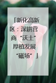 新化高新区：深耕营商“沃土” 厚植发展“磁场”