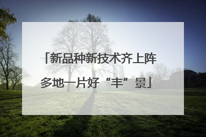 新品种新技术齐上阵 多地一片好“丰”景
