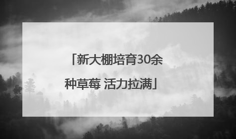 新大棚培育30余种草莓 活力拉满
