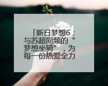 新日梦想6：与苏超同频的“梦想坐骑”，为每一份热爱全力加速