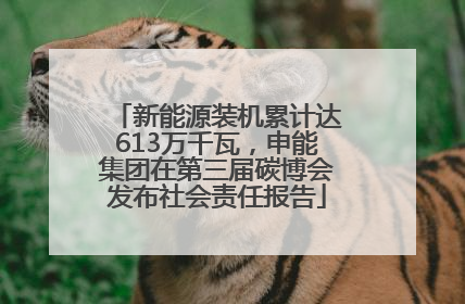 新能源装机累计达613万千瓦，申能集团在第三届碳博会发布社会责任报告