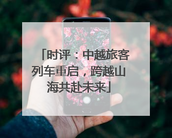 时评：中越旅客列车重启，跨越山海共赴未来