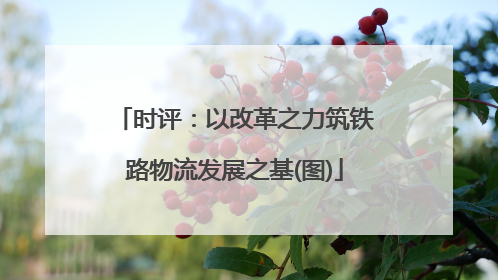 时评：以改革之力筑铁路物流发展之基(图)