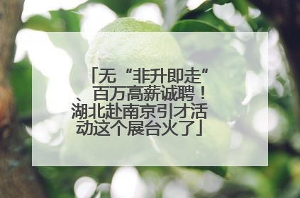 无“非升即走”、百万高薪诚聘！湖北赴南京引才活动这个展台火了