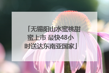 无锡阳山水蜜桃甜蜜上市 最快48小时送达东南亚国家