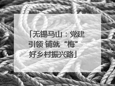 无锡马山：党建引领 铺就“梅”好乡村振兴路