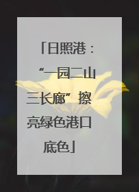 日照港：“一园二山三长廊”擦亮绿色港口底色